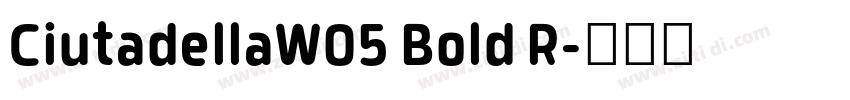 CiutadellaW05 Bold R字体转换 CiutadellaW05 Bold R字体转换